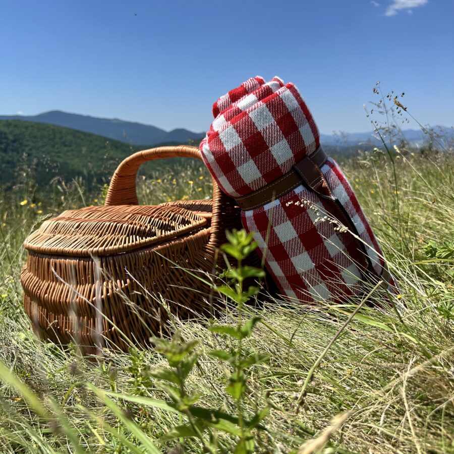 Пікнік на горі